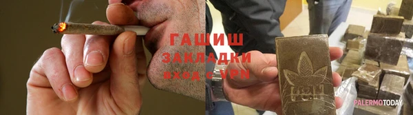 гидра Гусиноозёрск