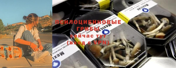 МДПВ Горняк