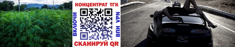 Купить закладки Приморск Дистиллят ТГК THC oil