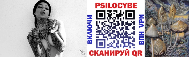 Купить закладки  Приморск  Псилоцибиновые грибы мухоморы 